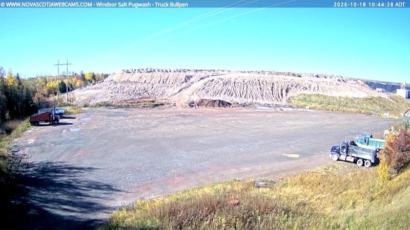 Windsor Salt