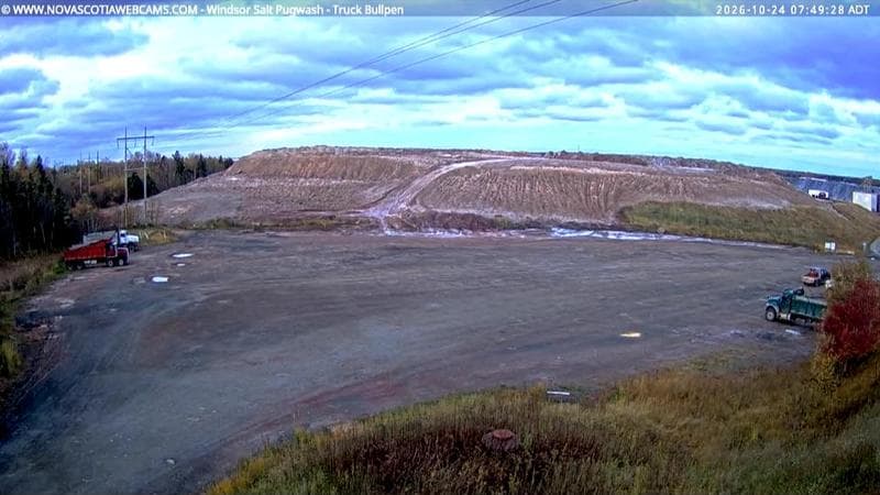 Windsor Salt