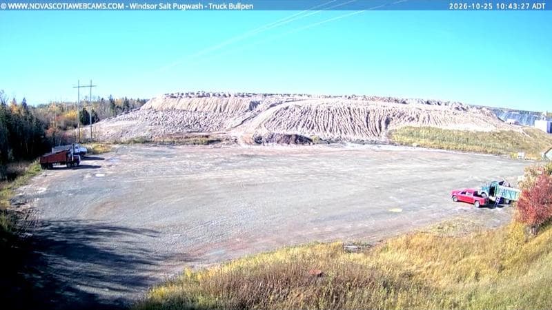 Windsor Salt