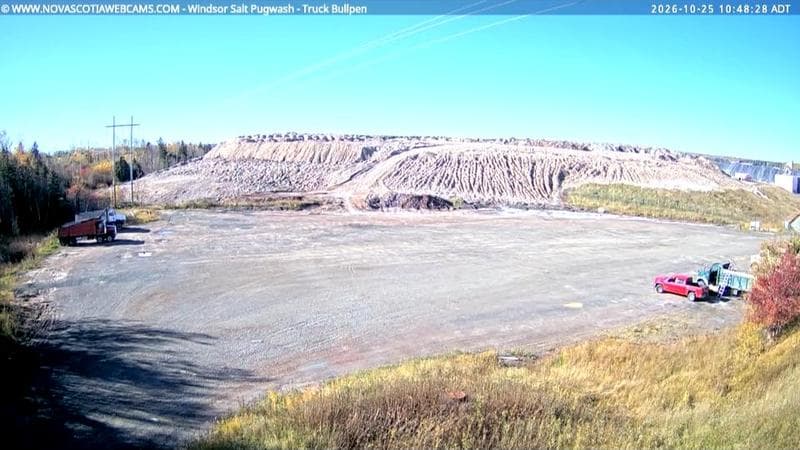 Windsor Salt