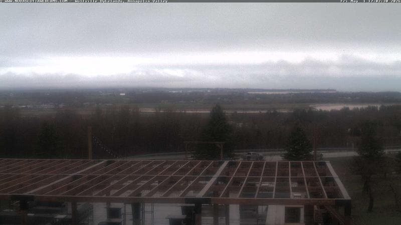 Wolfville Dykes