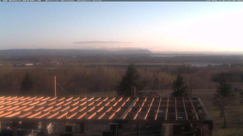 Wolfville Dykes