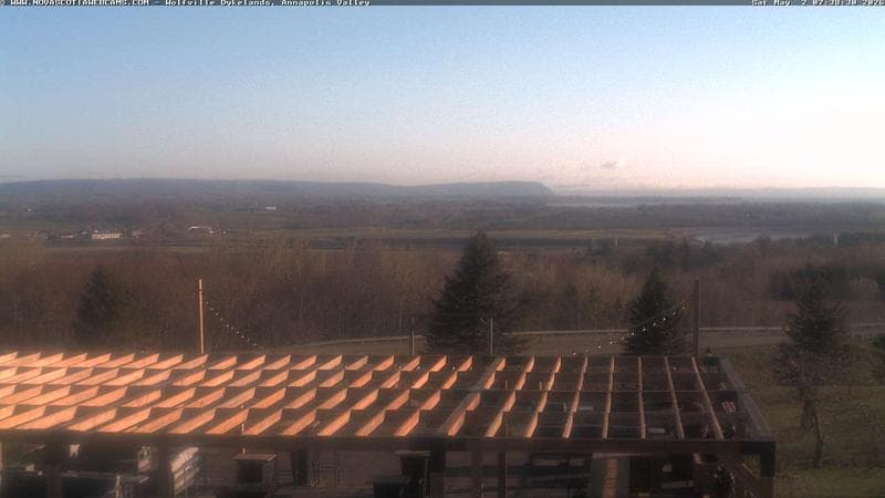 Wolfville Dykes