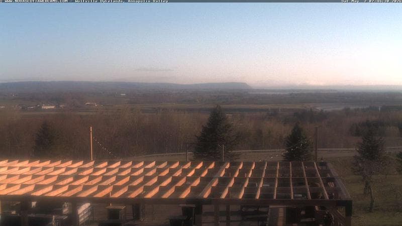 Wolfville Dykes