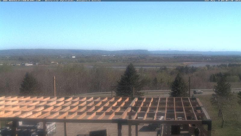 Wolfville Dykes