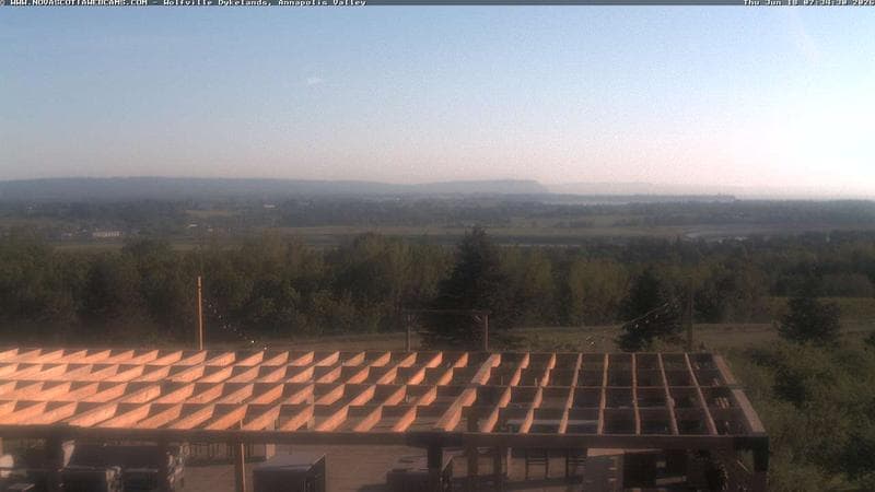 Wolfville Dykes