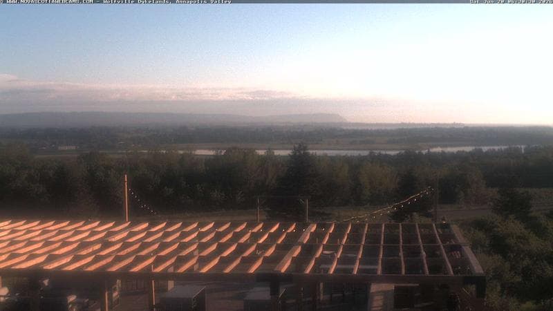 Wolfville Dykes