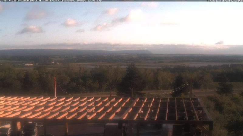 Wolfville Dykes