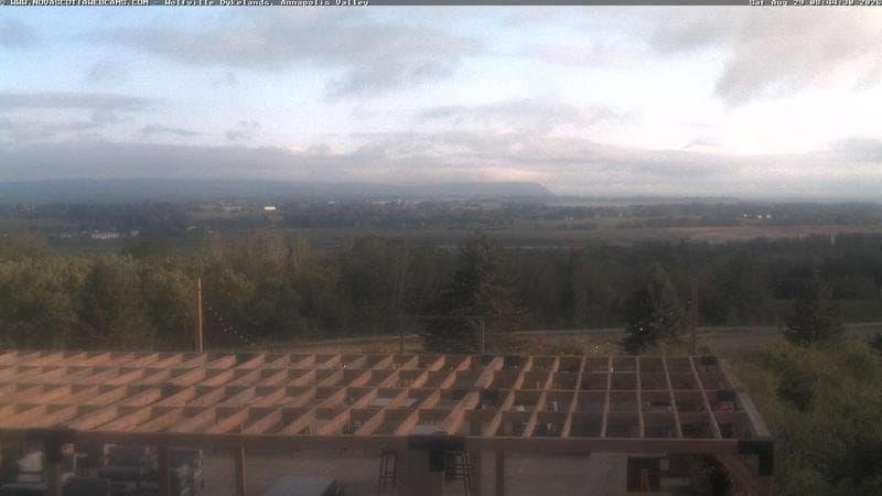 Wolfville Dykes