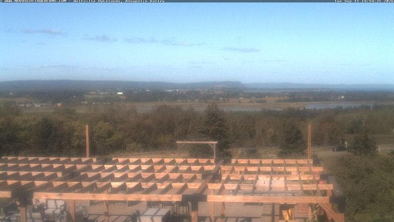 Wolfville Dykes