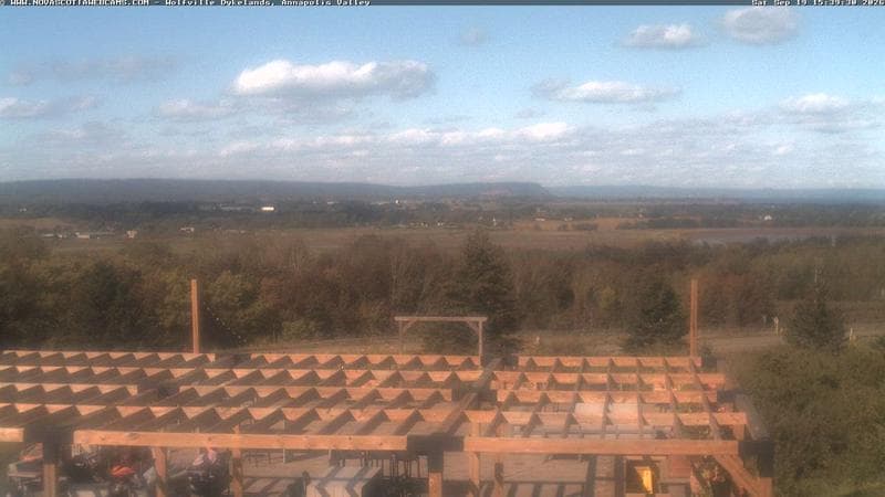 Wolfville Dykes