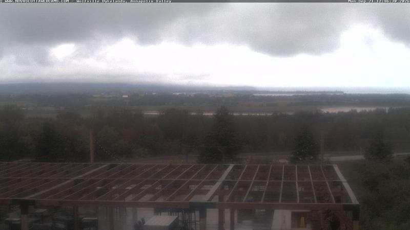 Wolfville Dykes