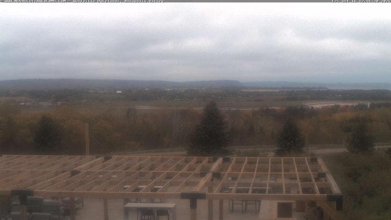 Wolfville Dykes