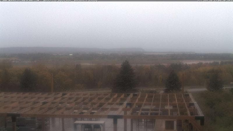 Wolfville Dykes