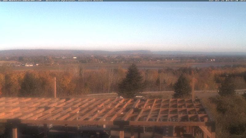 Wolfville Dykes