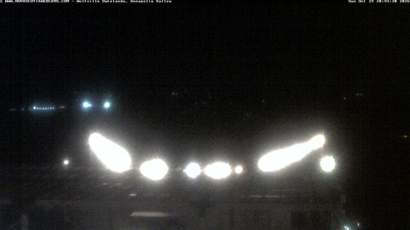 Wolfville Dykes