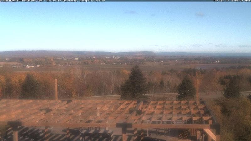 Wolfville Dykes