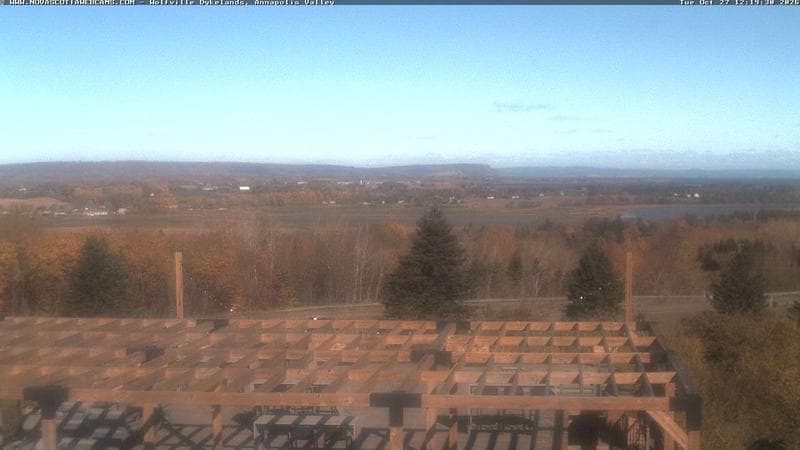 Wolfville Dykes