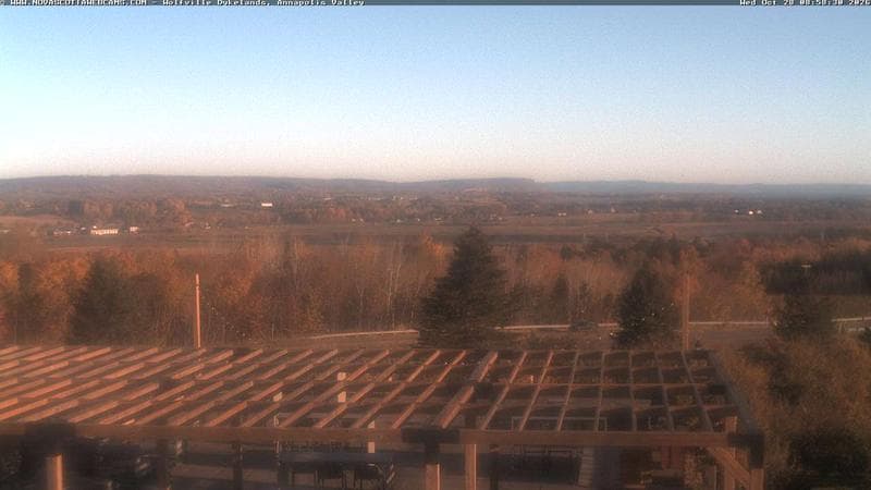 Wolfville Dykes