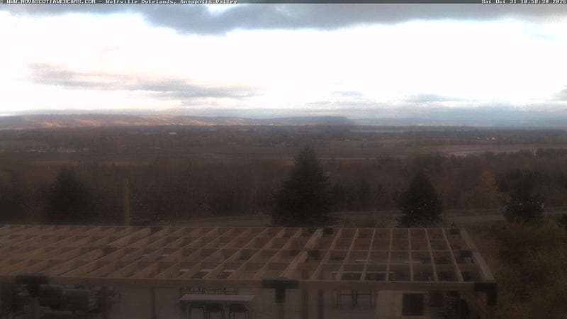 Wolfville Dykes
